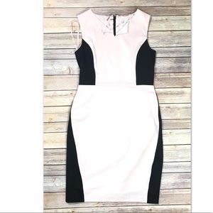 New York and company black and pink contrast dress